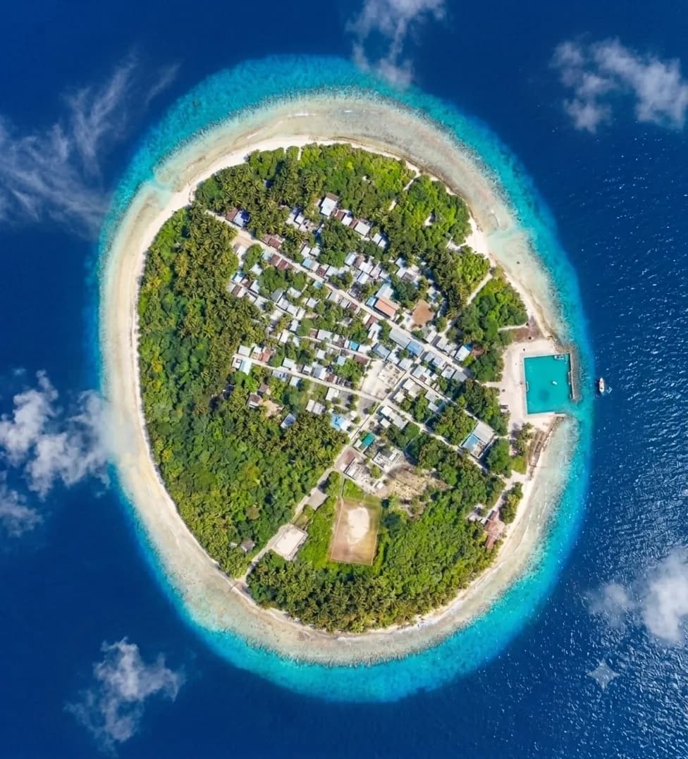 Kuribi