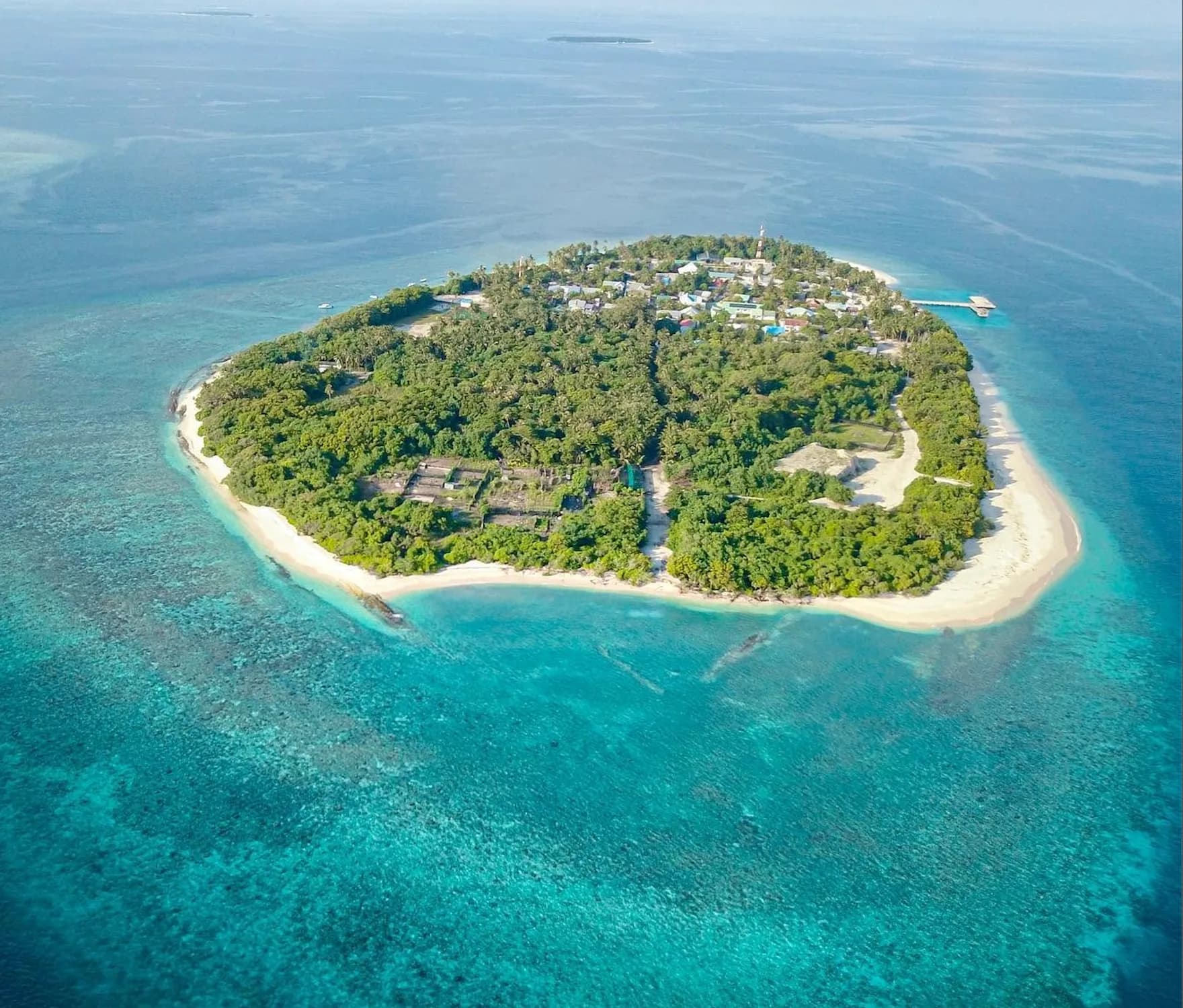 Fodhdhoo